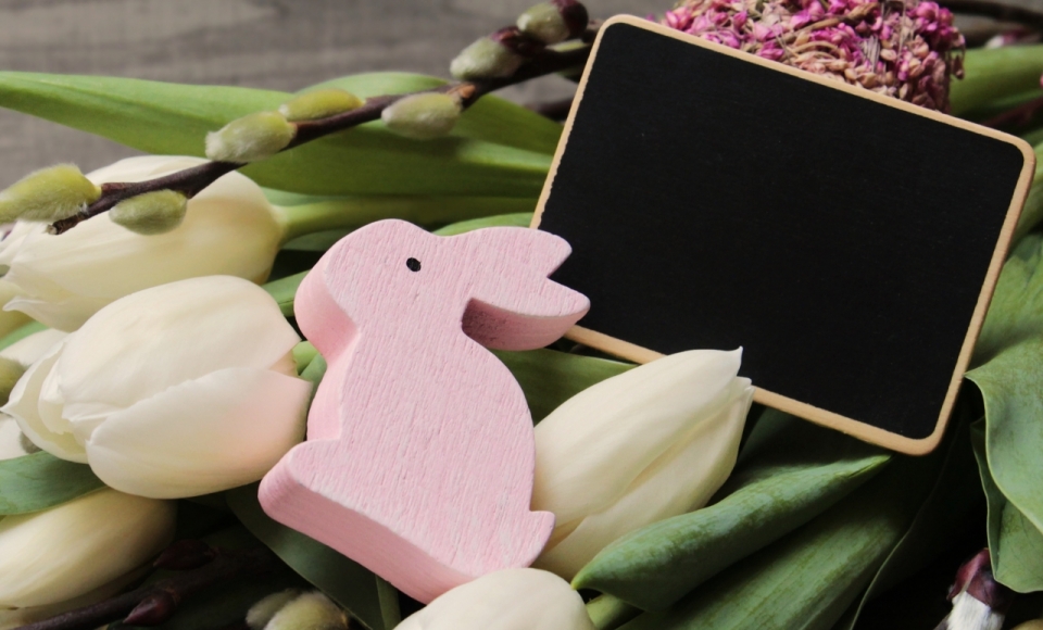 粉色兔子装饰白色花朵郁金香黑板桌面