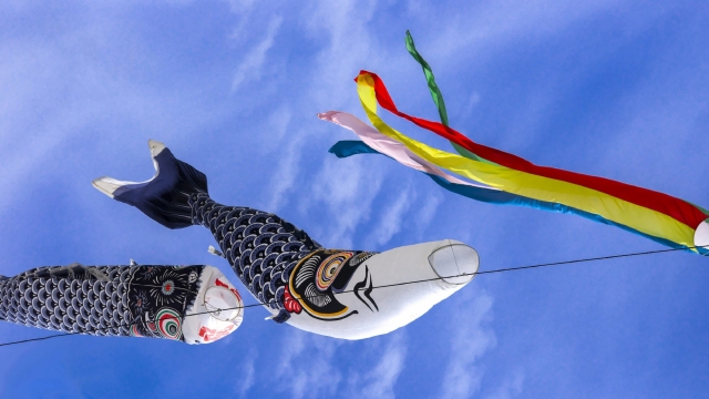 鲤鱼旗高清桌面壁纸