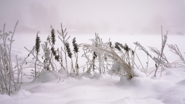 唯美高清冬日雪景图片