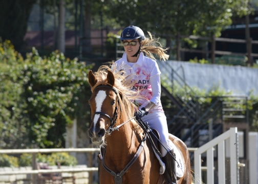 健硕体质骏马美女骑士马术训练