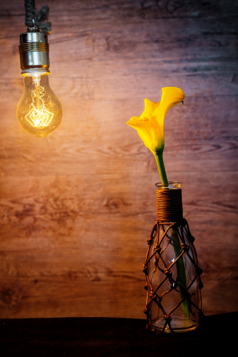 木制墙壁发光灯泡花瓶黄色花朵植物