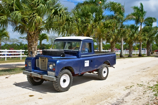 阳光城市街道行驶蓝色运货车