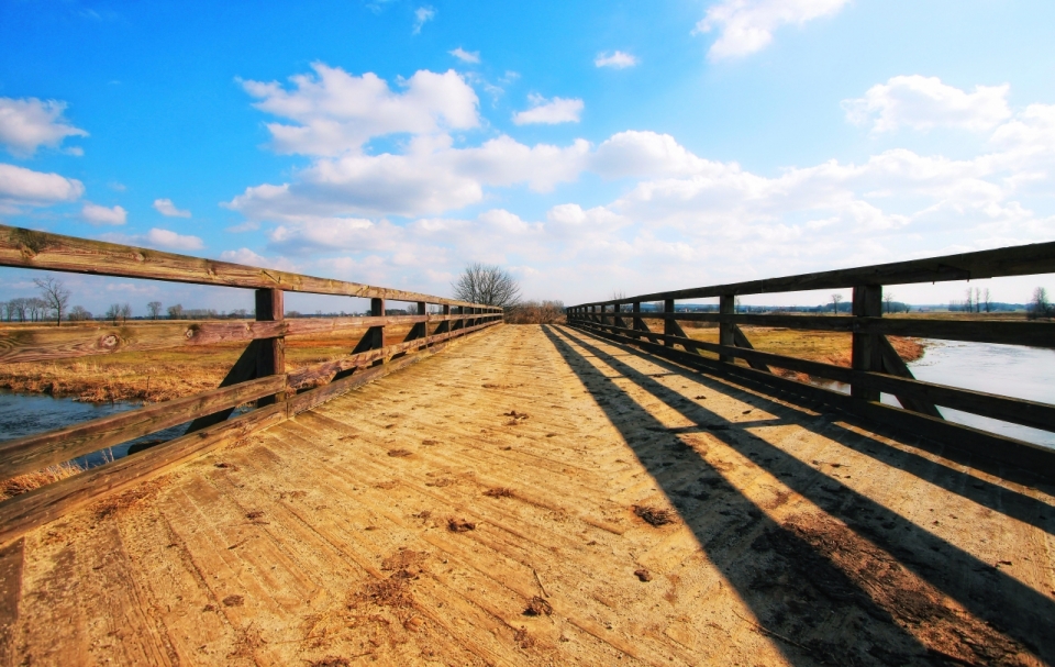 农场两岸延伸木板桥梁清澈溪流风景
