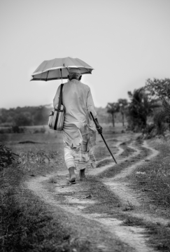 田边小路行走撑伞老人背影相片