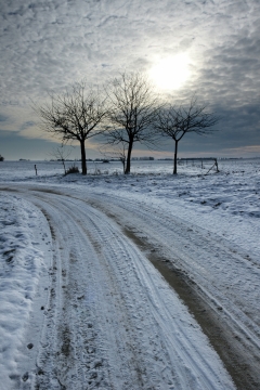 冬季积雪平原草地天空层叠云彩光景