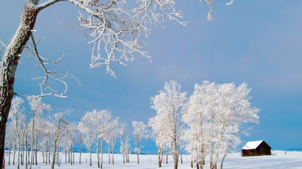 唯美冬季雪景高清桌面壁纸