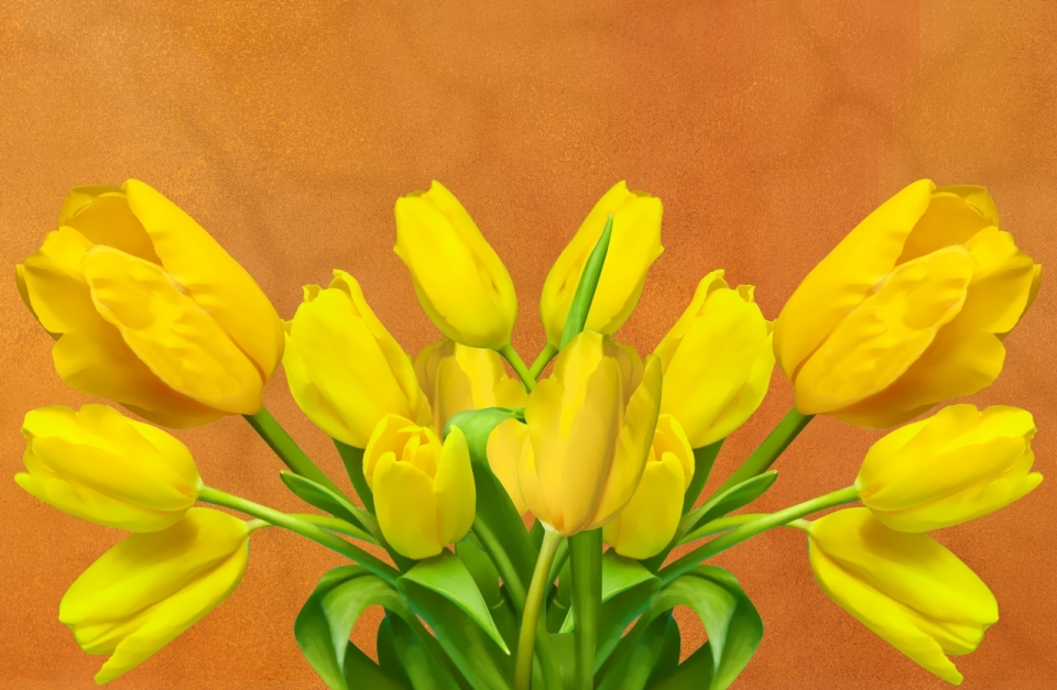 黄色盛开花朵盆栽微距特写