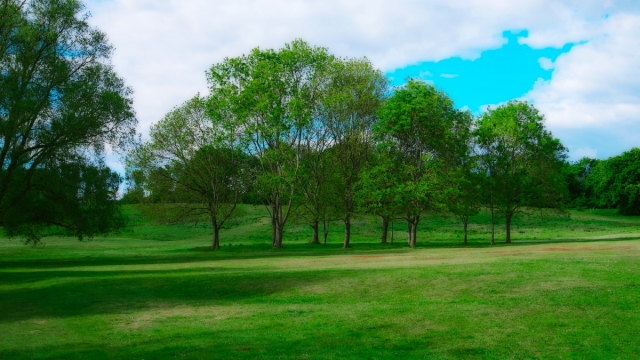 自然风光绿色环境清新空气高清桌面壁纸