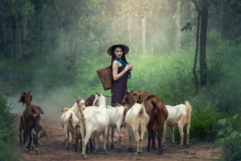 林中放羊的竹篓少女清纯写真