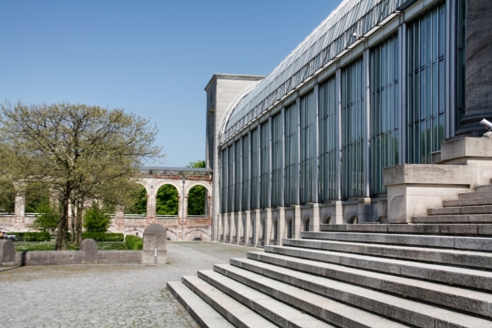 阳光蓝色天空城市街道古老建筑