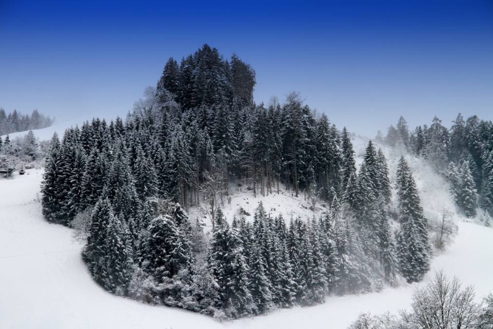 雪山上茂密树林冬日雪景拍摄