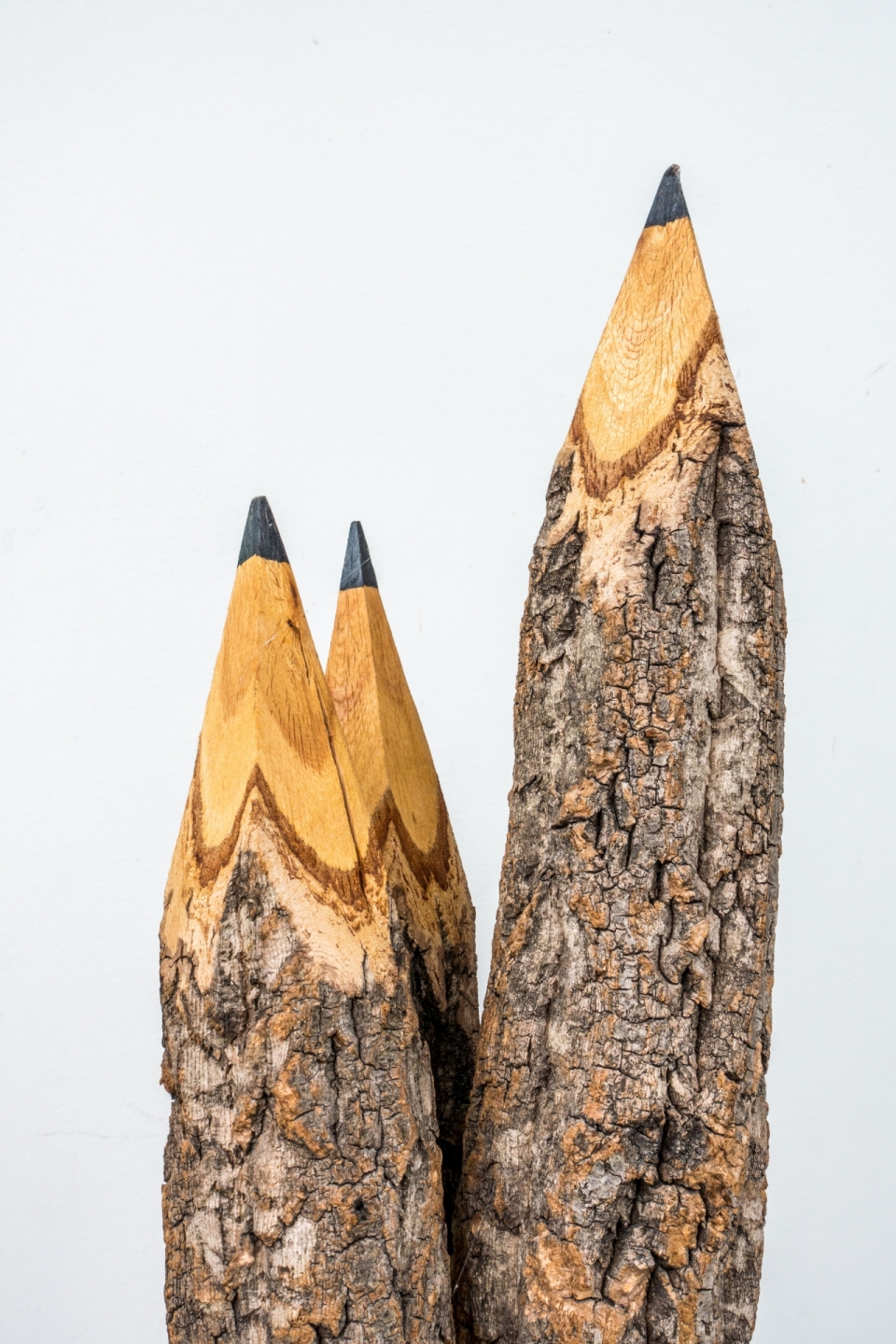 白色背景树木铅笔的创意摄影