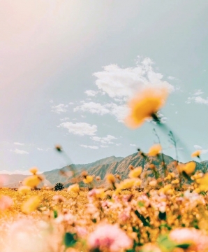 唯美清新图片写真