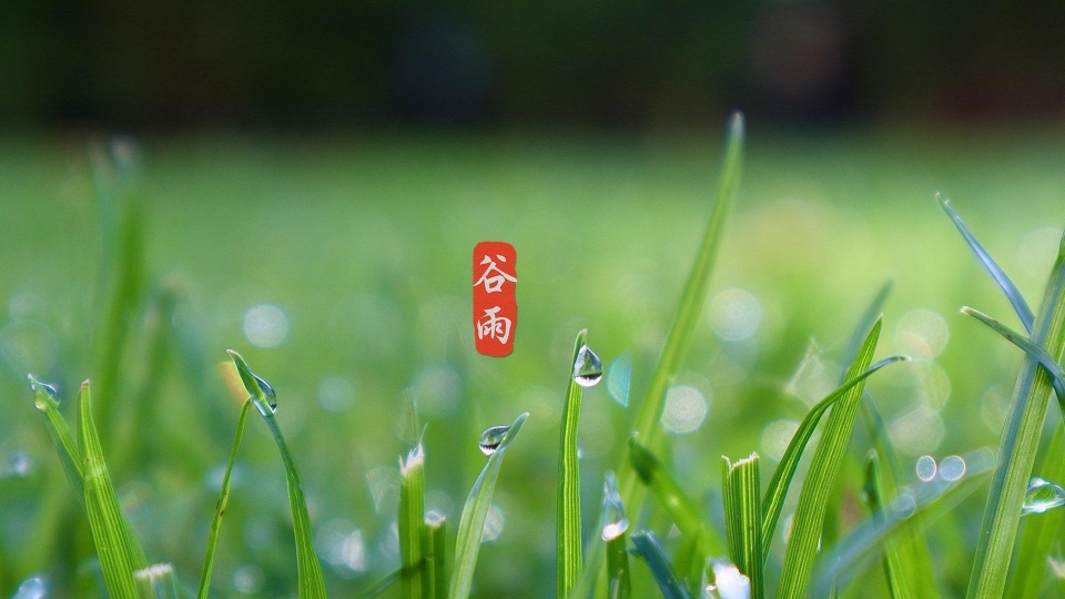 唯美清新护眼谷雨高清桌面壁纸