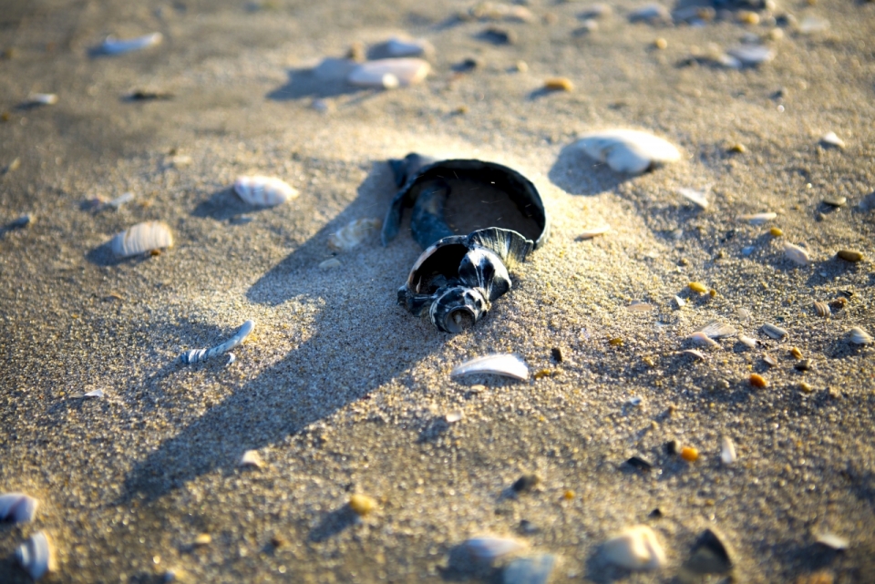 阳光户外自然沙滩废弃破旧黑色花瓶