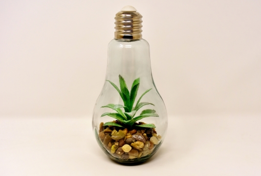 室内白色墙壁桌面透明玻璃灯泡里绿色植物