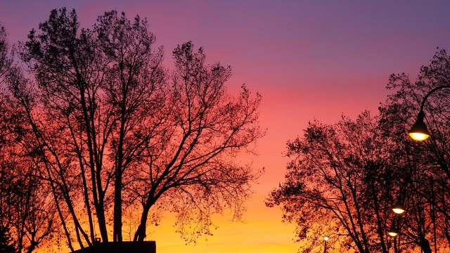 夕阳火烧云街边路灯树木美景