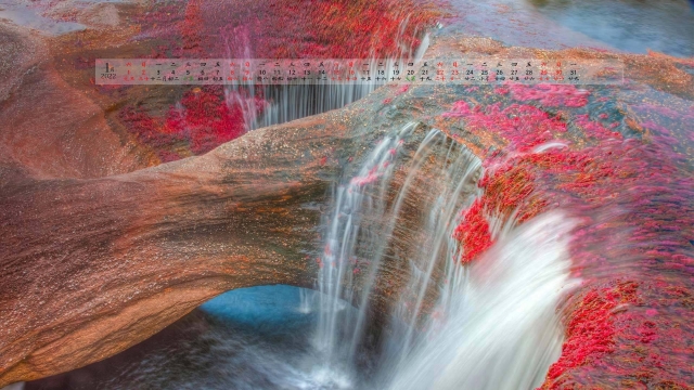 2022年1月日历高清桌面壁纸