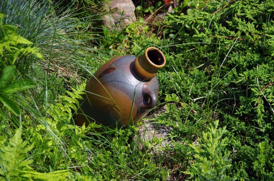 阳光自然户外绿色草坪棕色陶瓷瓶子