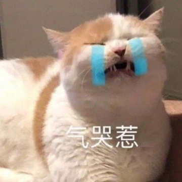 搞笑幽默表情包图片