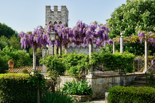 阳光户外自然树木植物间古老建筑