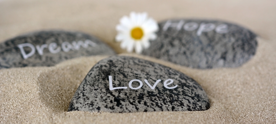 沙滩上写着love的石头和白色小花