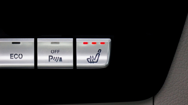 豪华轿车内部英文崭新银色按钮