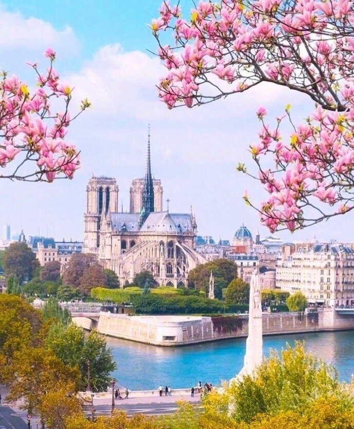 唯美风景春天的巴黎图片