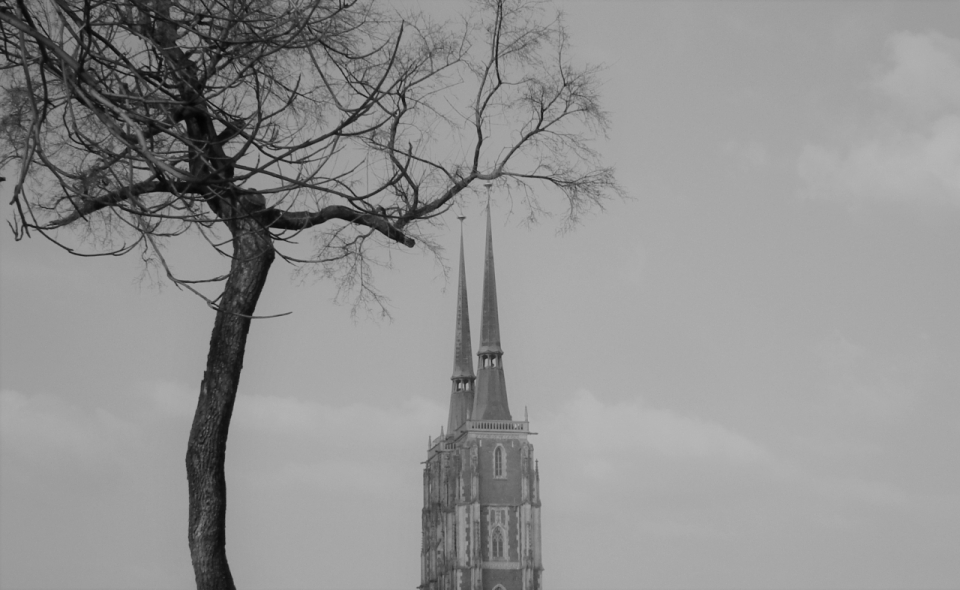 黑白树木前古老历史尖顶教堂建筑
