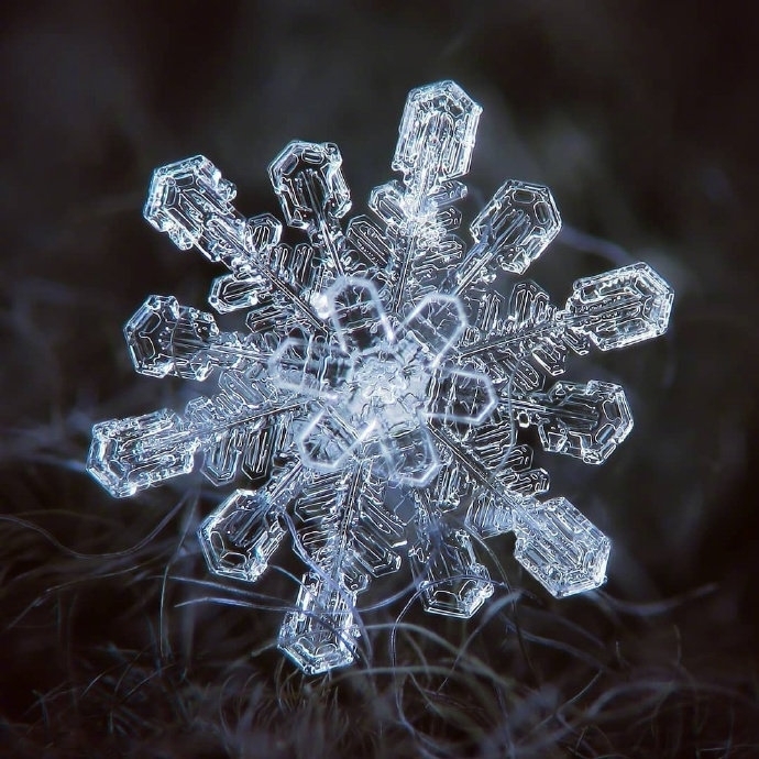 微镜头下的雪花图片