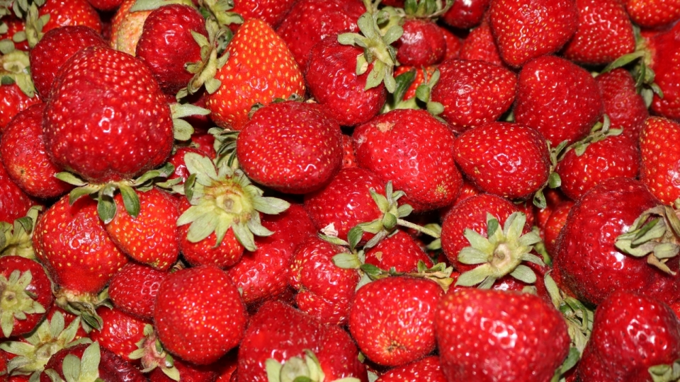 摄影基础_室内红色新鲜美味草莓水果重复排列