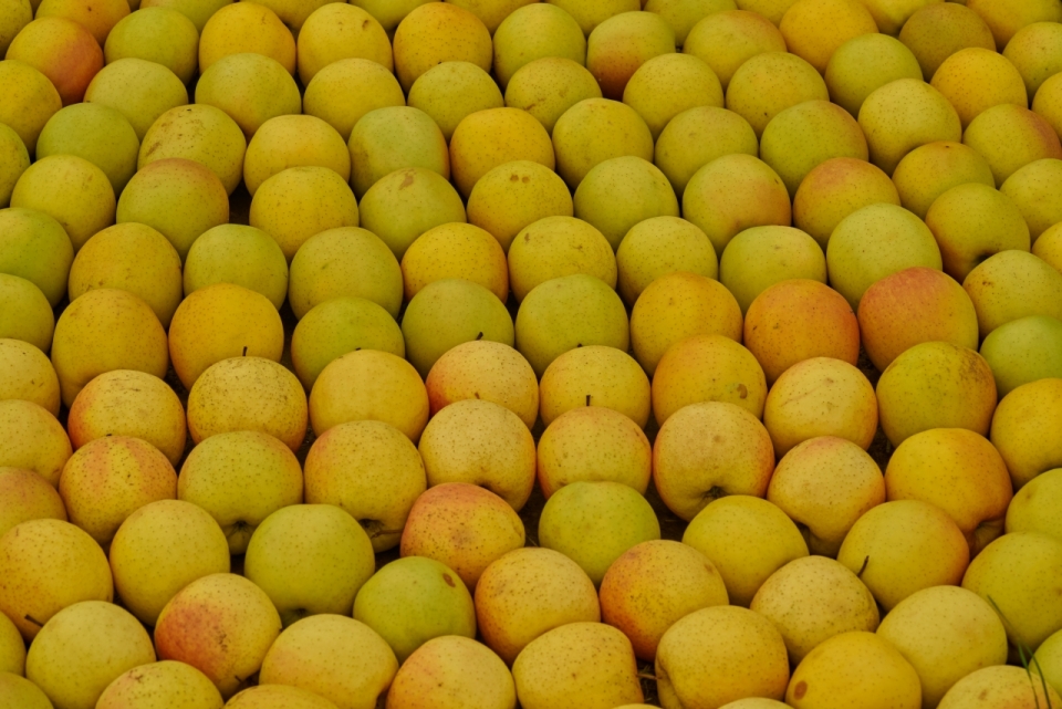 黄色新鲜美味健康苹果水果