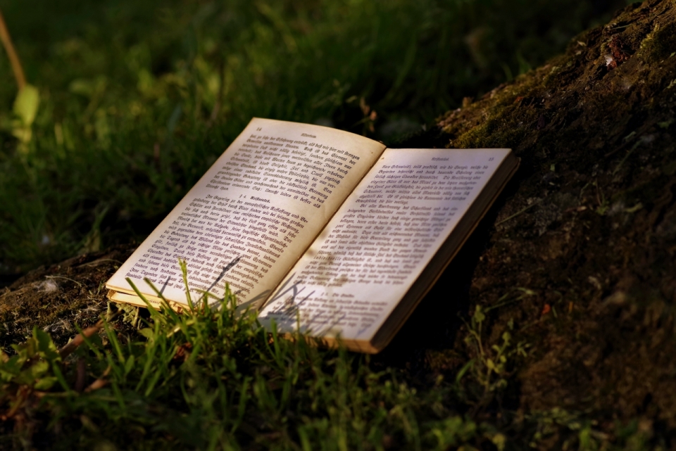 在树荫下的绿色草地上放着一本书