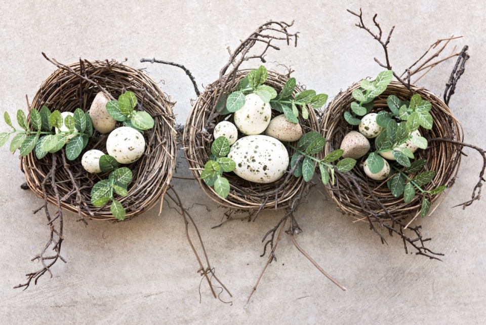 石质桌面鸟巢树叶装饰白色鸟蛋