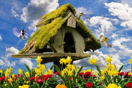 户外鲜艳花园中矗立鸟屋青苔外观