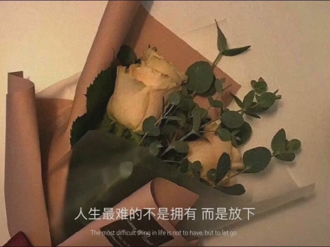 唯美情感语录图片