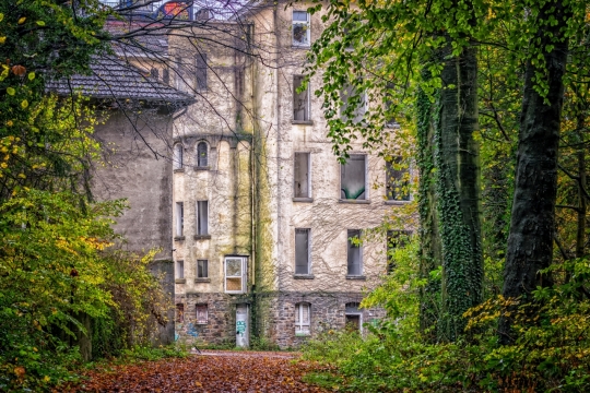 绿色幽静树林中高楼建筑