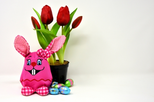 室内白色桌面兔子玩具盆栽装饰彩蛋巧克力