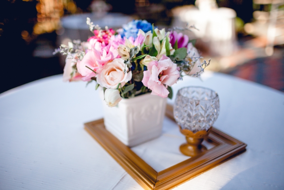 虚化背景室内白色桌面花瓶花朵植物
