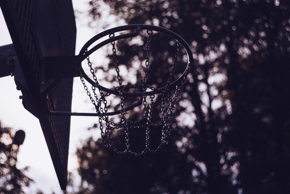 背景虚化树木下的篮球框仰拍