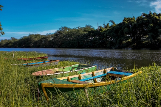 河道边杂草中隐蔽木质船只