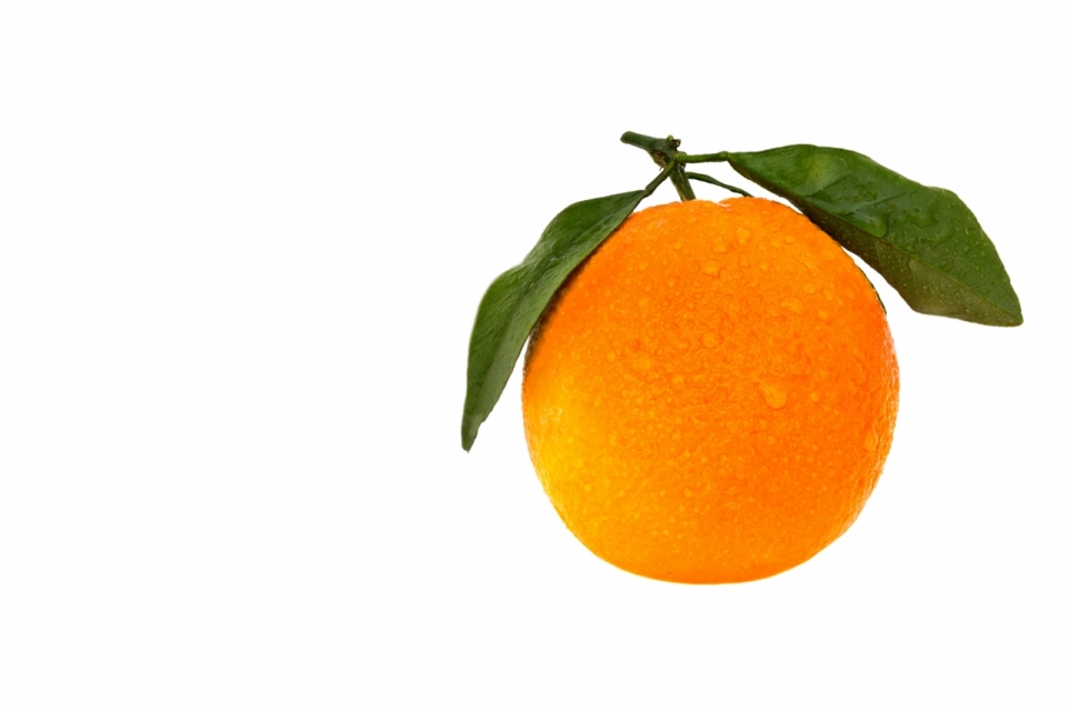 新鲜美味橙色果实绿色叶子橙子