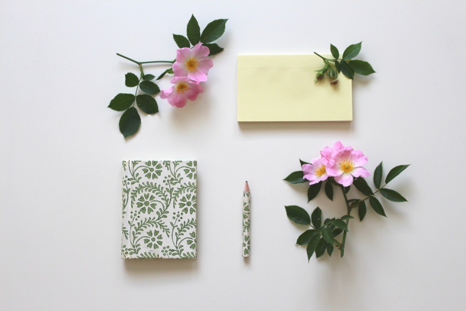 白色桌面自然花朵植物笔记本笔文具