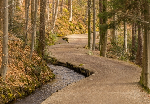 大自然深山树林蜿蜒宁静走道风景