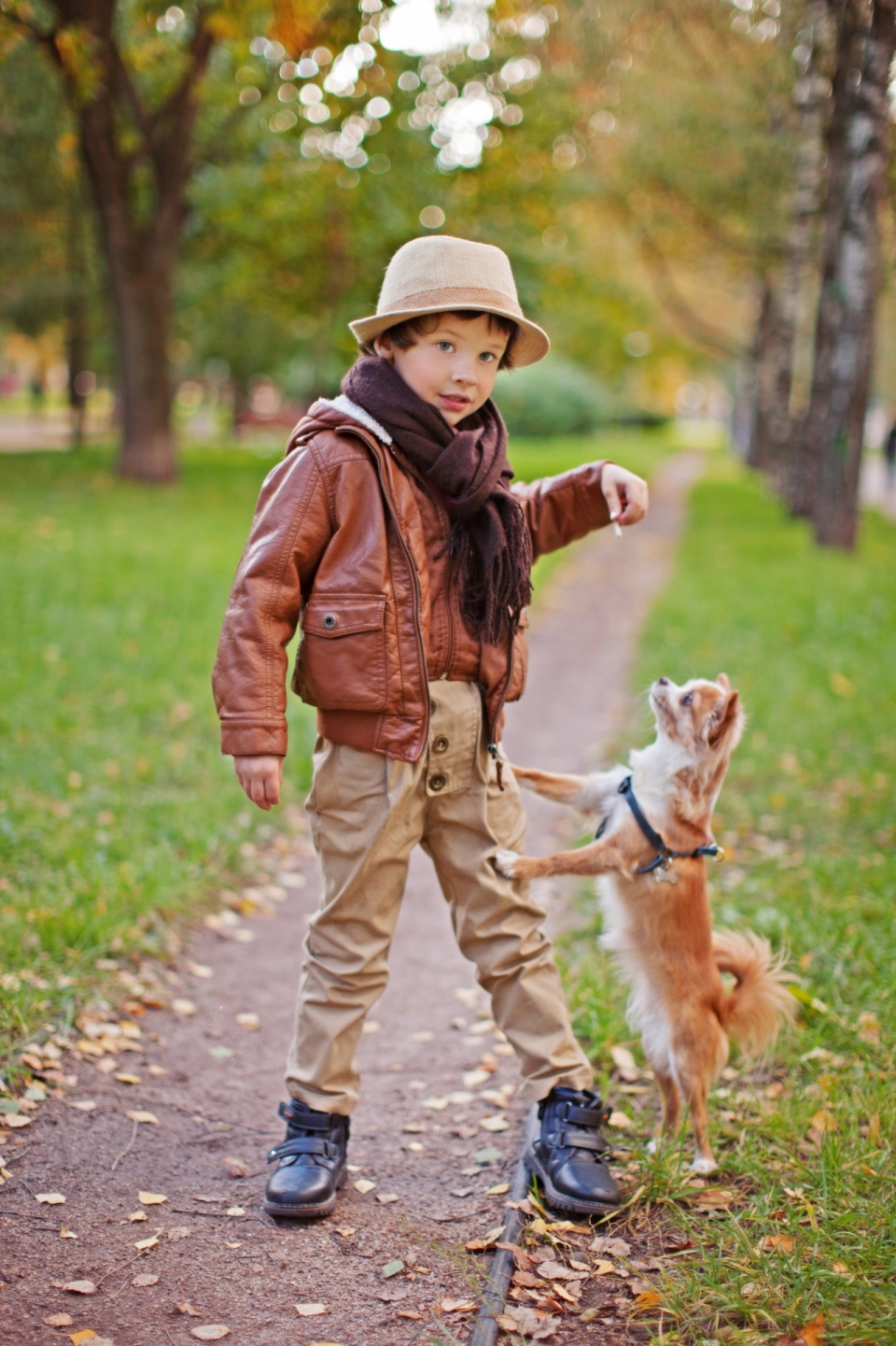 公园小路上与小狗玩耍的孩子
