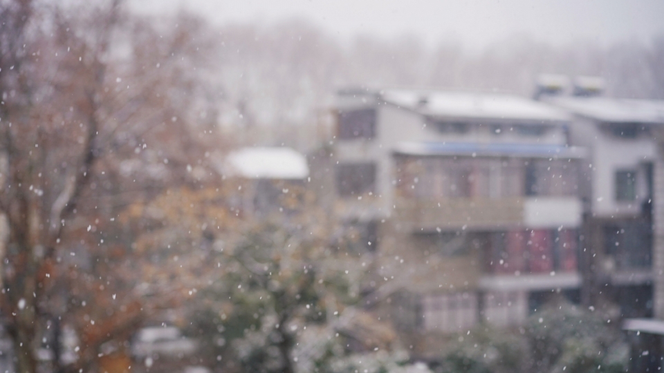 深冬飘落的雪花美景自然风光高清壁纸