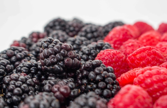 干净桌面铺展新鲜水果树莓微距