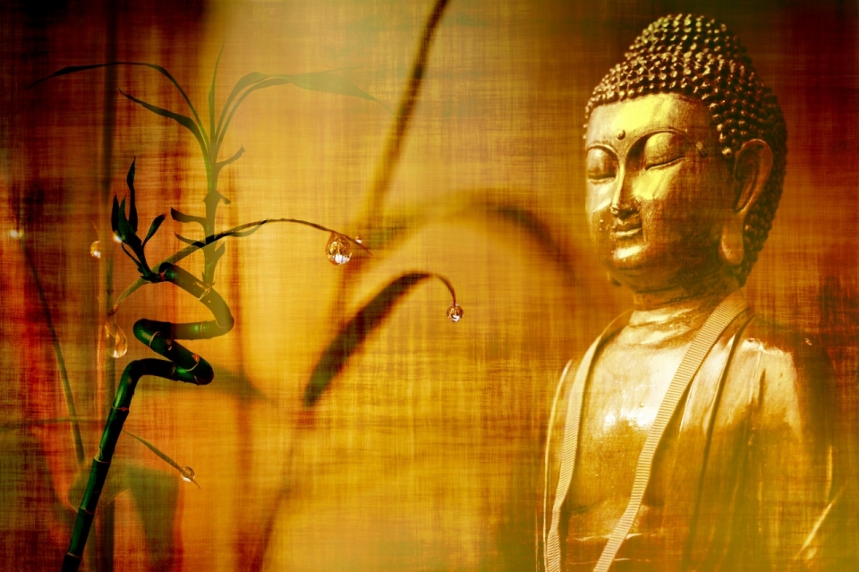金色佛祖铜像和戴着水珠的文竹