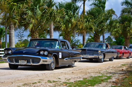 阳光户外小路黑色红色古典轿车