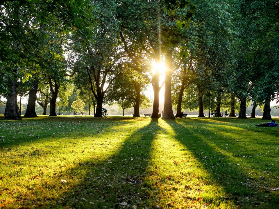英国伦敦海德公园自然风光优美风景桌面壁纸
